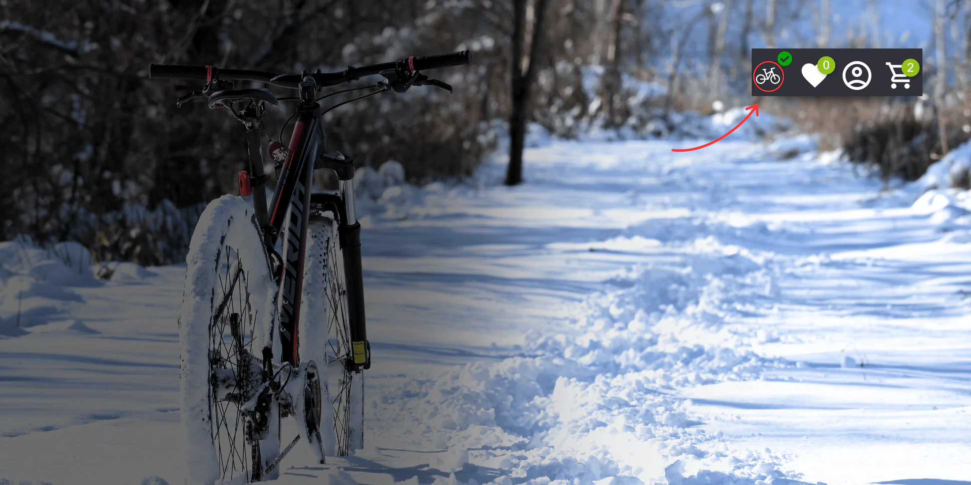 Welcome to Our Store